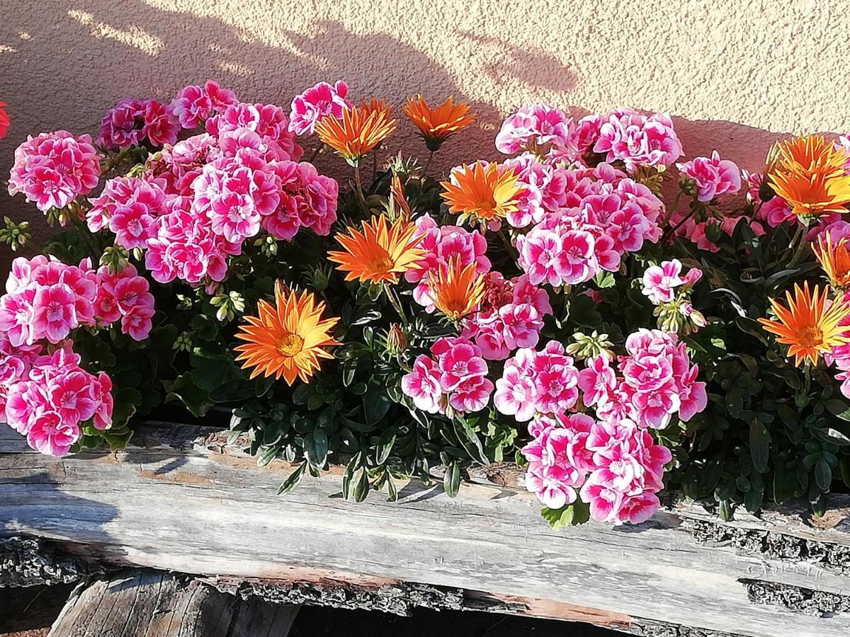 Ferienwohnung Angerlgut Sankt Koloman Dış mekan fotoğraf